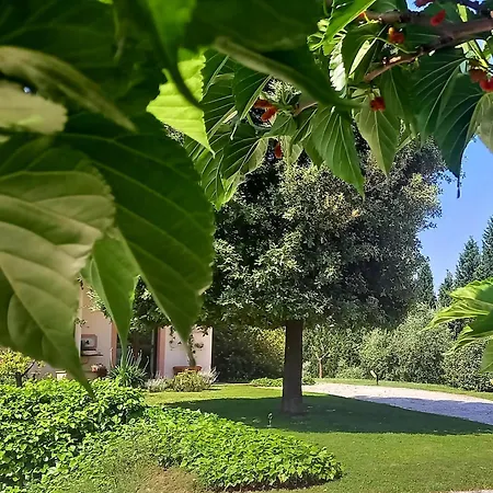 Apartamento Agrifoglio Pantalla