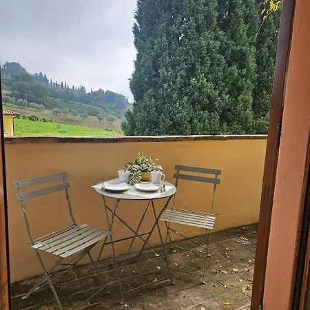 Agrifoglio