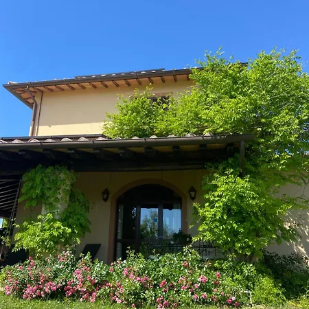 Agrifoglio * Pantalla