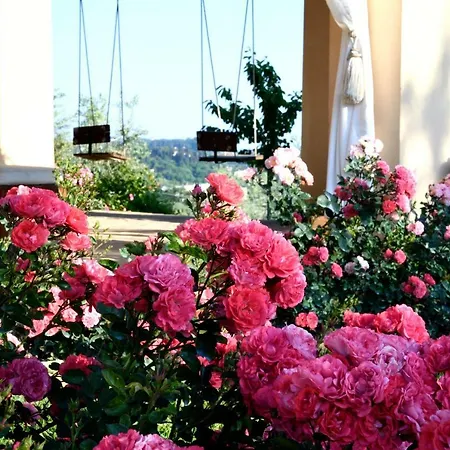 Appartement Agrifoglio *