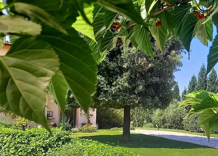 Apartamento Agrifoglio Pantalla