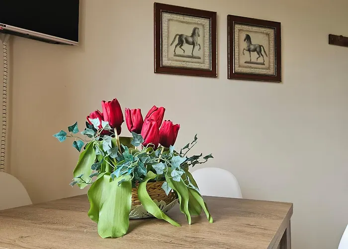 Apartamento Agrifoglio *