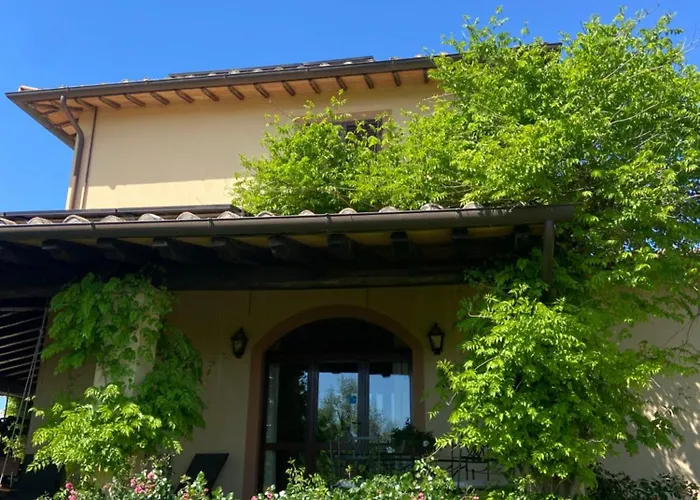 Agrifoglio * Pantalla